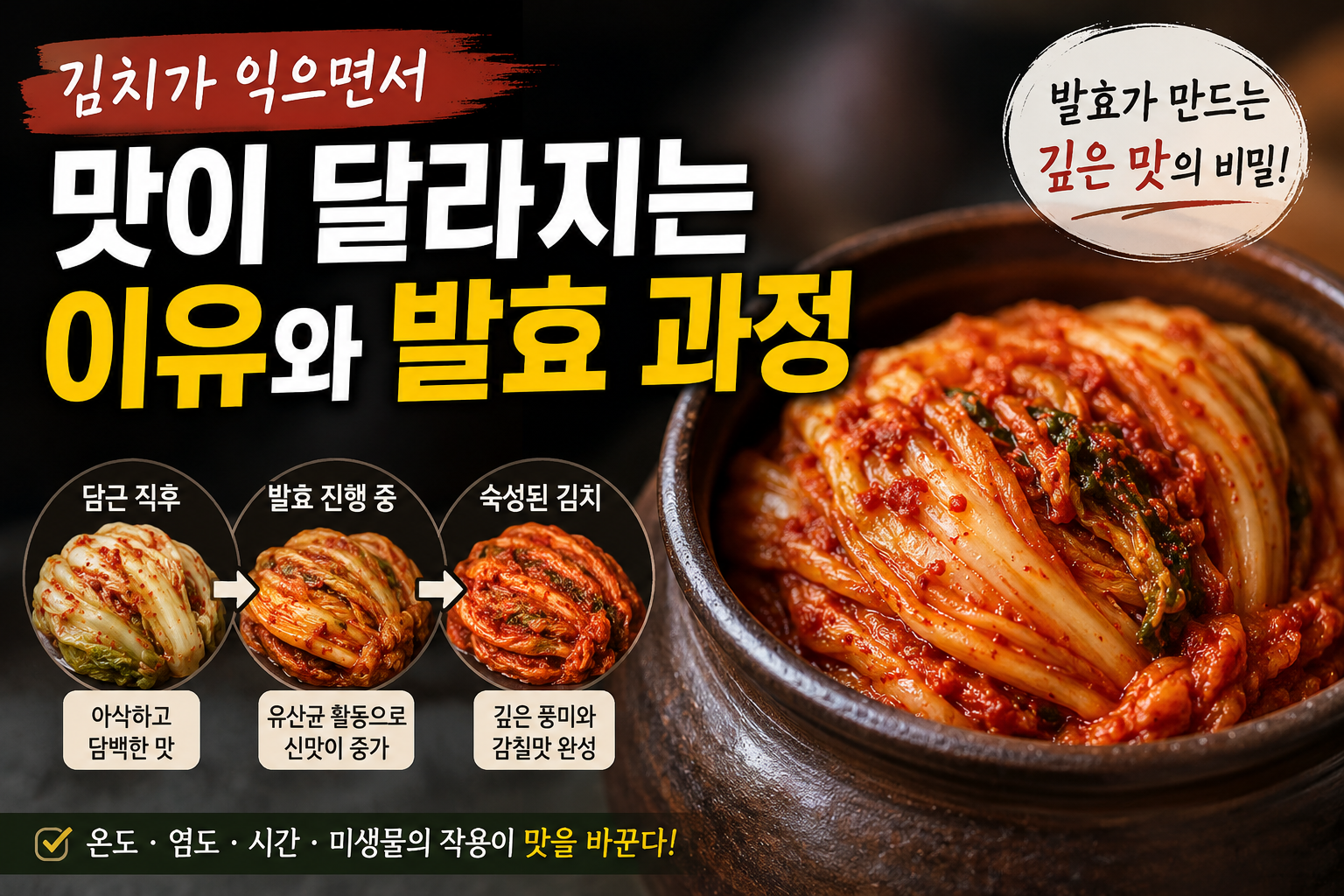 김치가 익으면서 맛이 달라지는 이유와 발효 과정